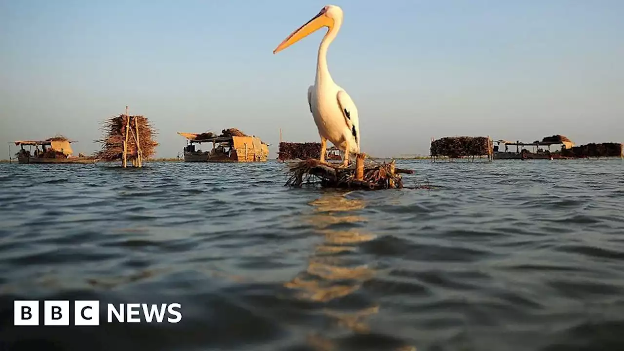 Pakistan floods: Officials struggle to stop biggest lake overflowing