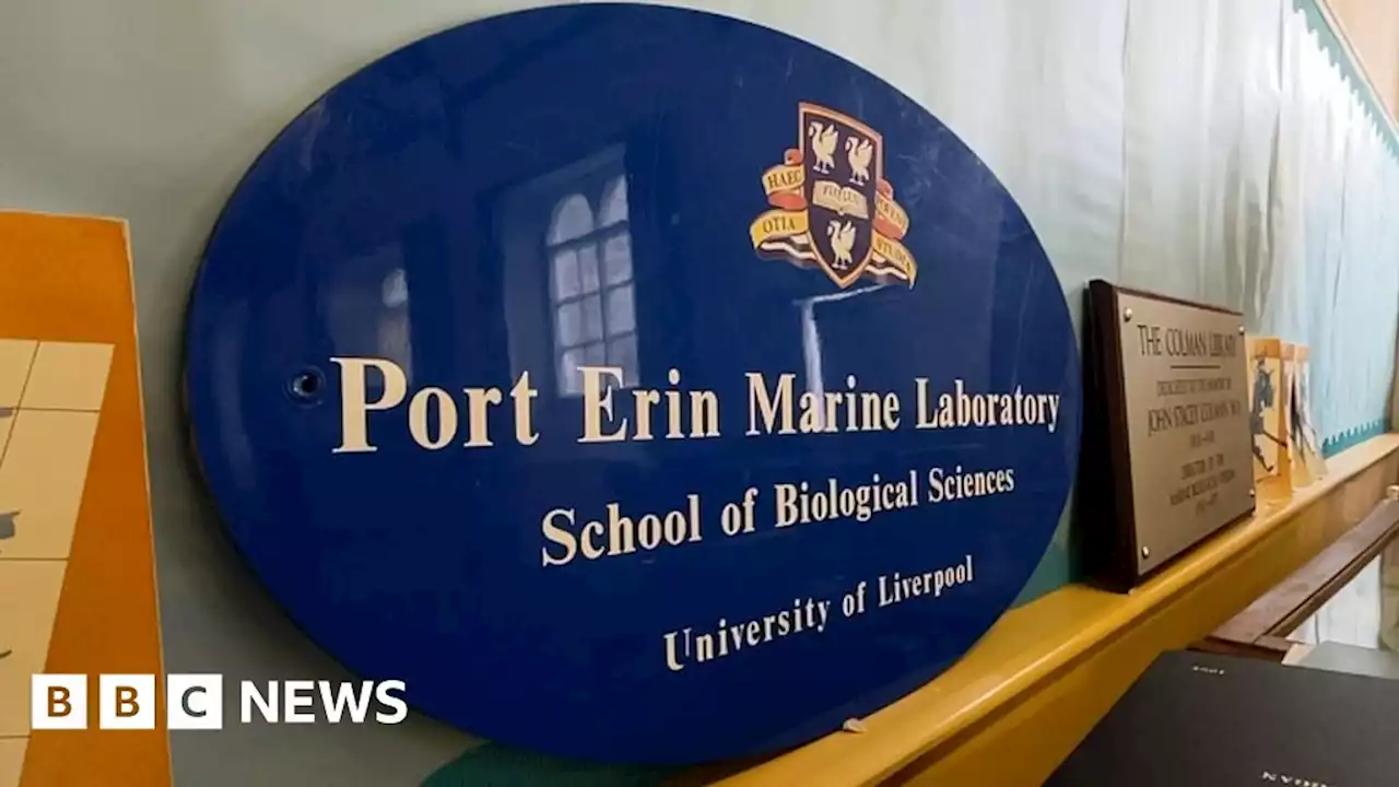 Scientists hail Port Erin marine lab's impact on marine biology