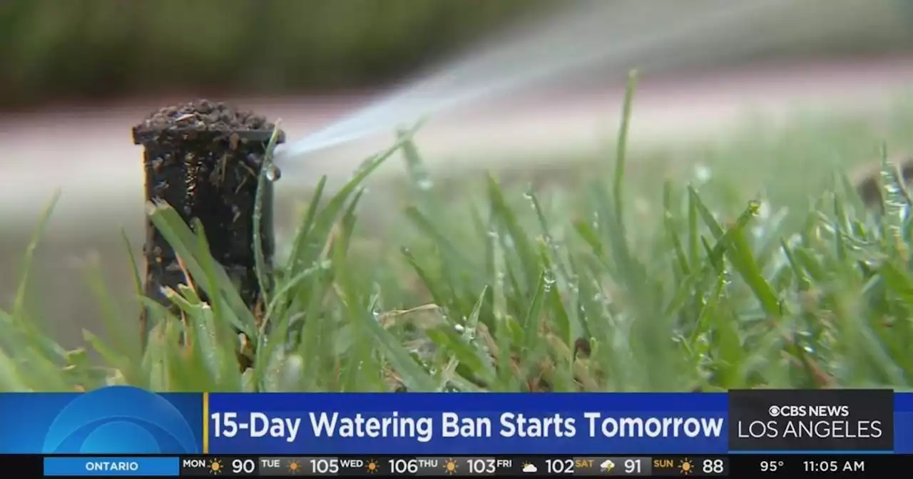 15-day outdoor watering shutdown begins for more than 4 million Los Angeles County residents tomorrow