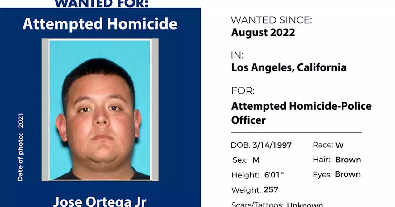 U.S. Marshals offer $5K reward to find man who allegedly shot at undercover officer in La Puente