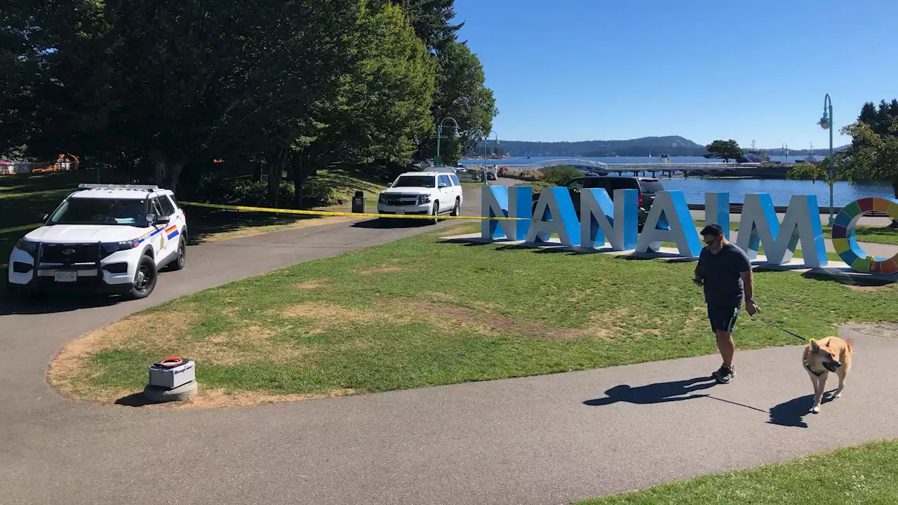 Man, 29, killed in stabbing at Nanaimo's Maffeo Sutton Park