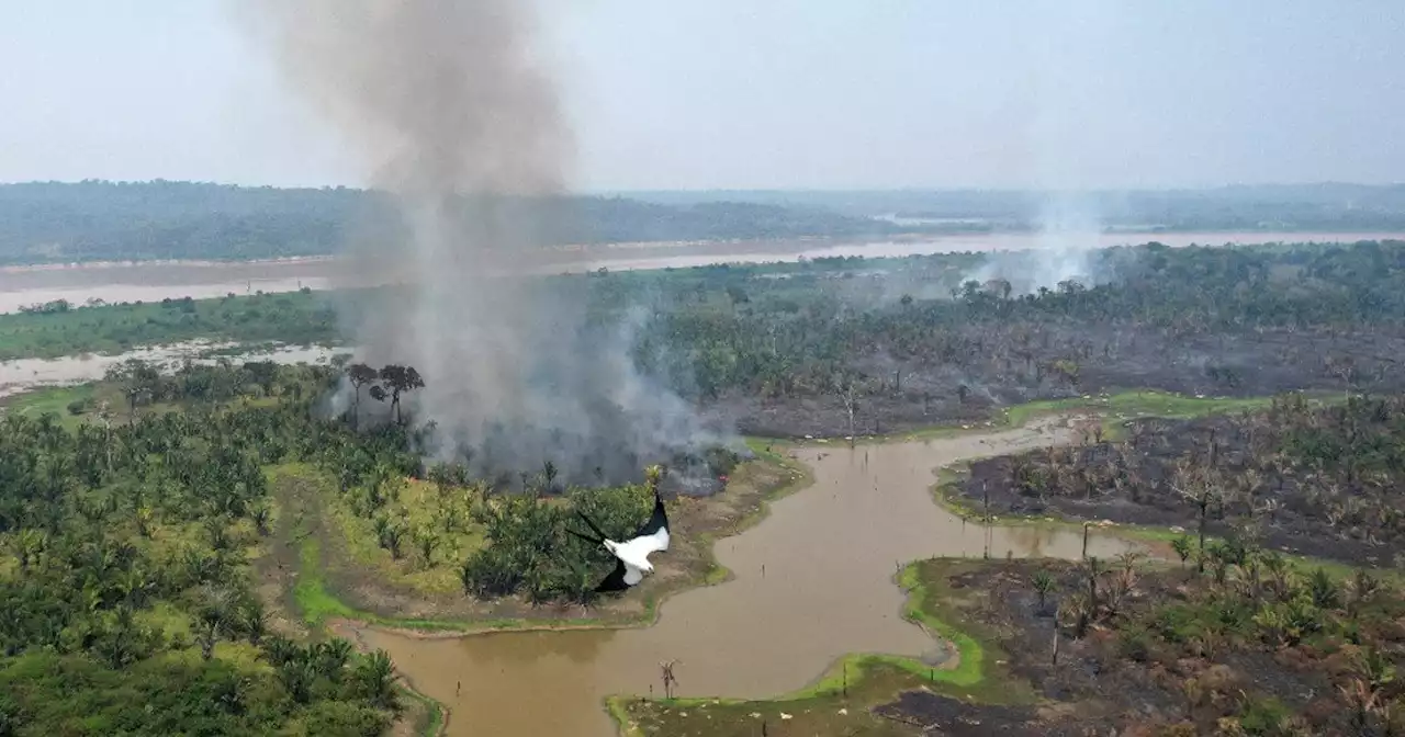 Sobrevolando el río, que serpentea en el corazón de la selva amazónica, arde la nueva 'frontera de la deforestación' en Brasil