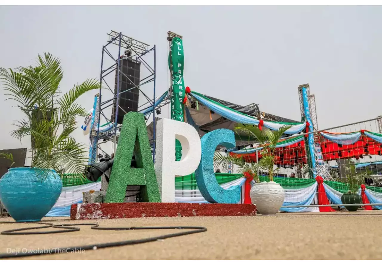 Leave us out of your mess, APC cautions Ayu