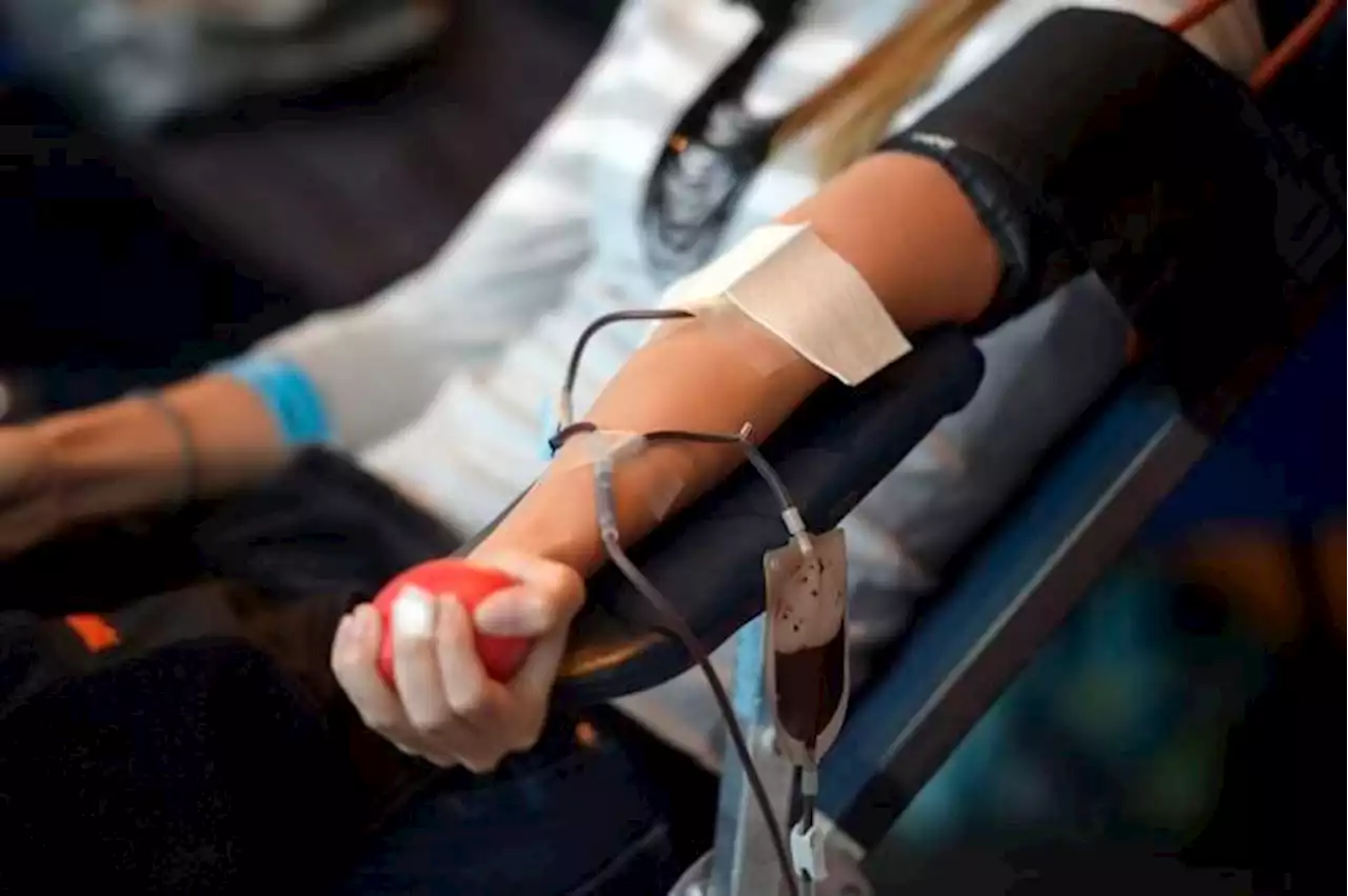 Colorado blood centers ask donors to help fix supply emergency after supply drops by half