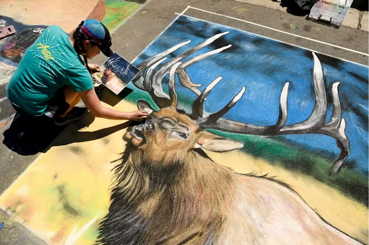 PHOTOS: 2022 Denver Chalk Art Festival brings a splash of color to Golden Triangle streets