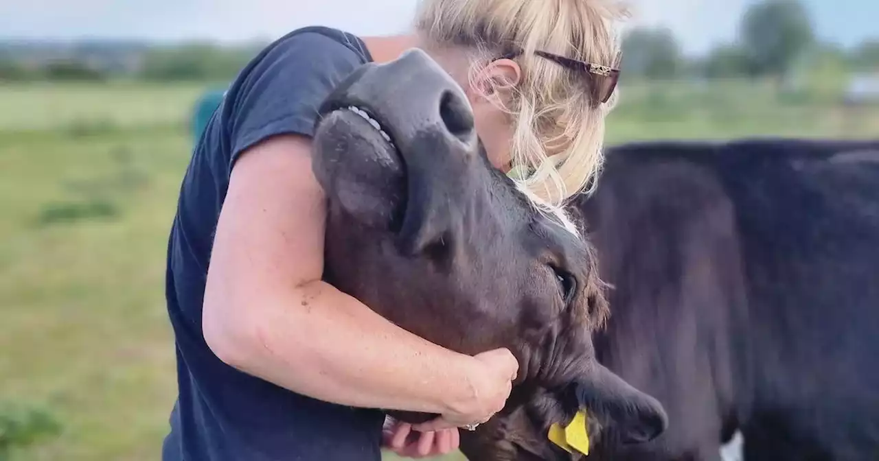 Wirral mum's animal sanctuary cares for more than 100 animals