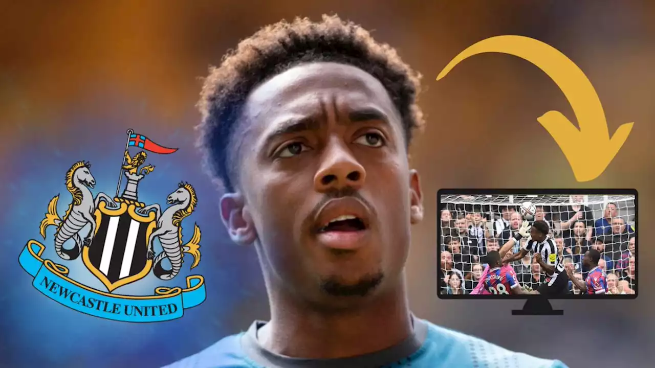 Newcastle United news: Pundit backs change after Willock controversy