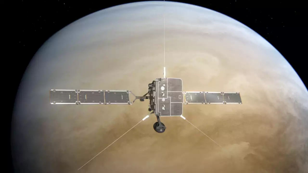 Solar Orbiter hit by mass ejection from the Sun during Venus flyby