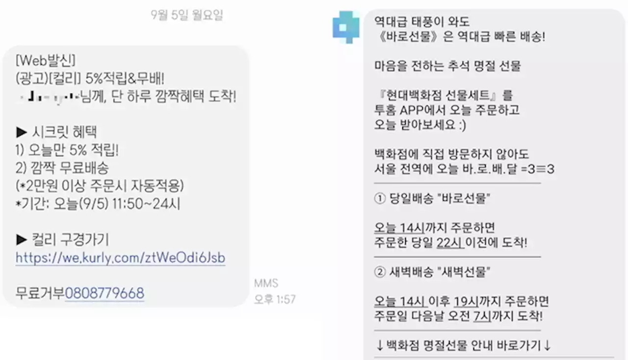 “역대급 태풍 와도 역대급 빠른 배송!” 선 넘은 온라인몰 홍보 마케팅