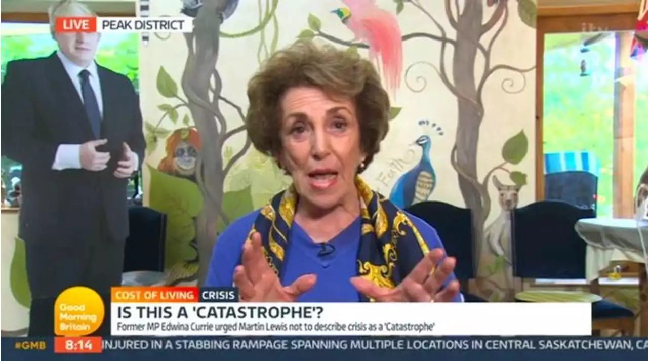 Edwina Currie slammed for having a Boris Johnson cardboard cut-out in room on GMB