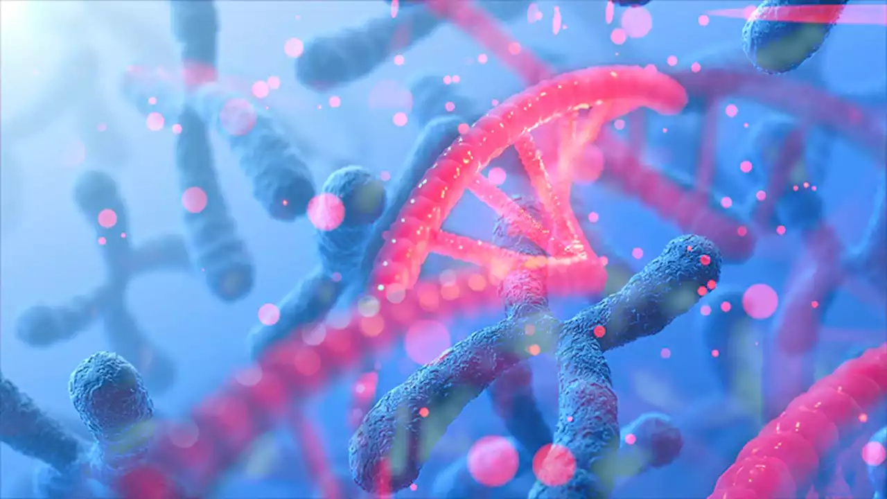 Online Tool IDs People With Genetic Mutations Linked to Cancer