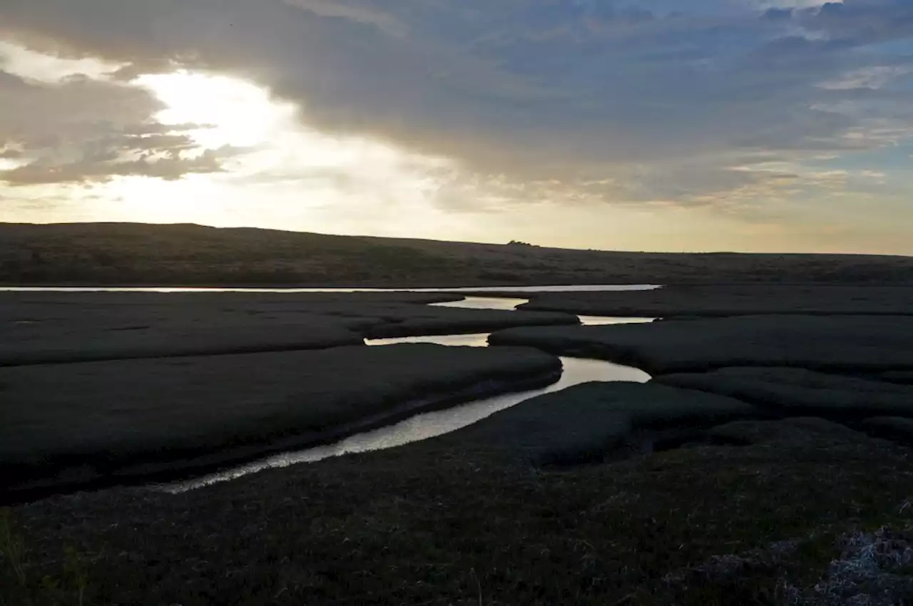 Point Reyes water quality tests find high bacteria levels