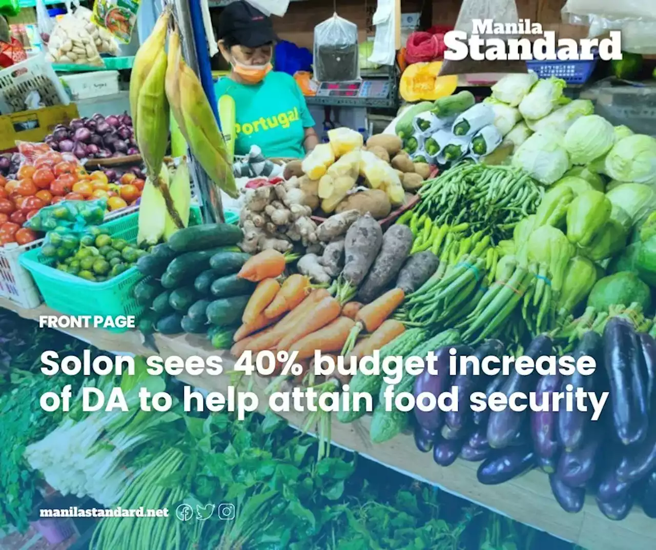 Solon sees 40% budget increase of DA to help attain food security