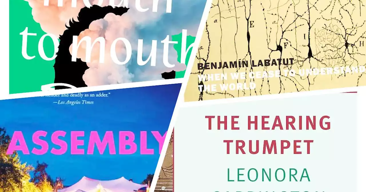 23 Wonderful Books Under 200 Pages