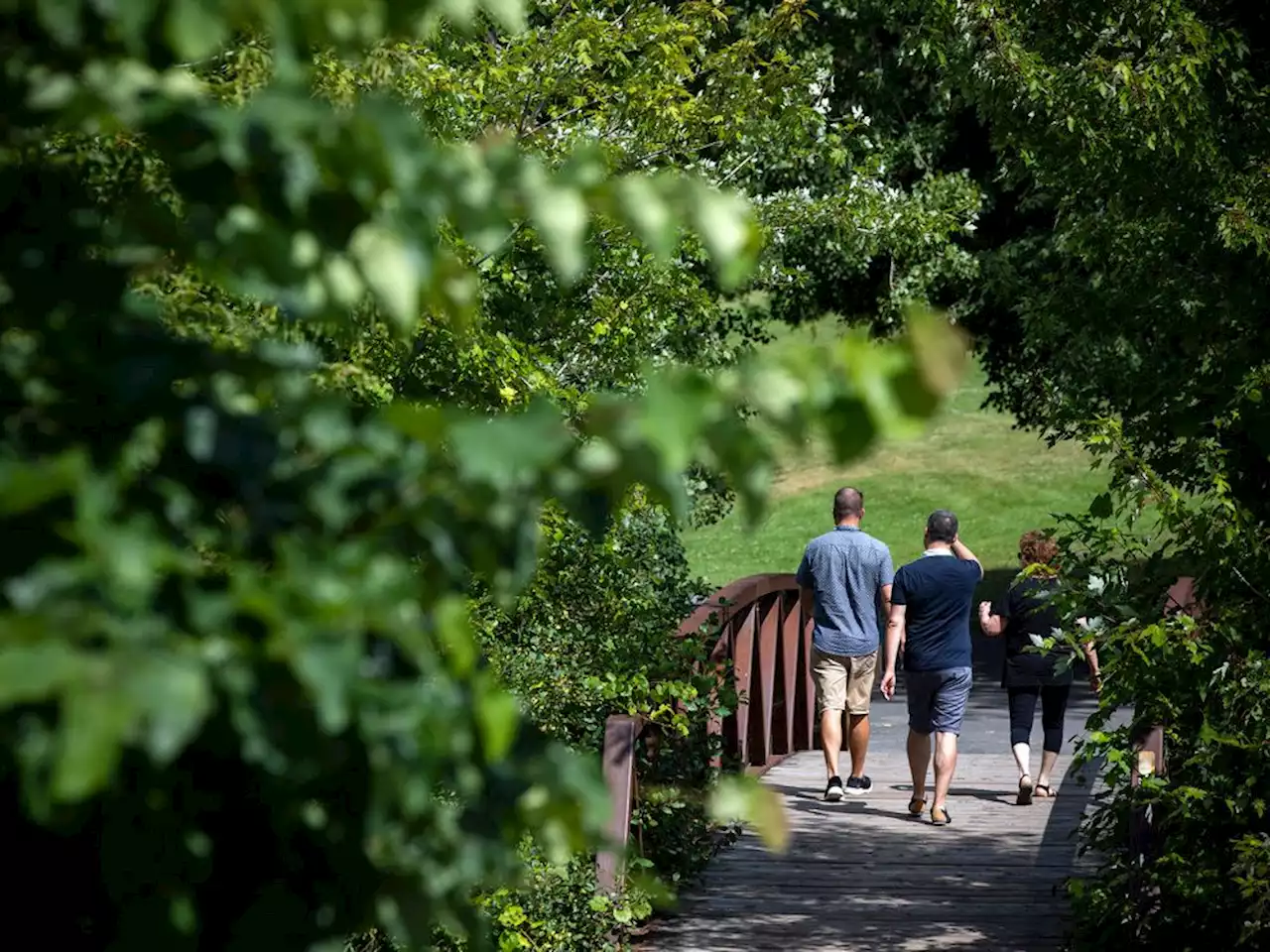 Lindsay: Urban forests boost our well-being, but not everyone in Ottawa gets their benefits