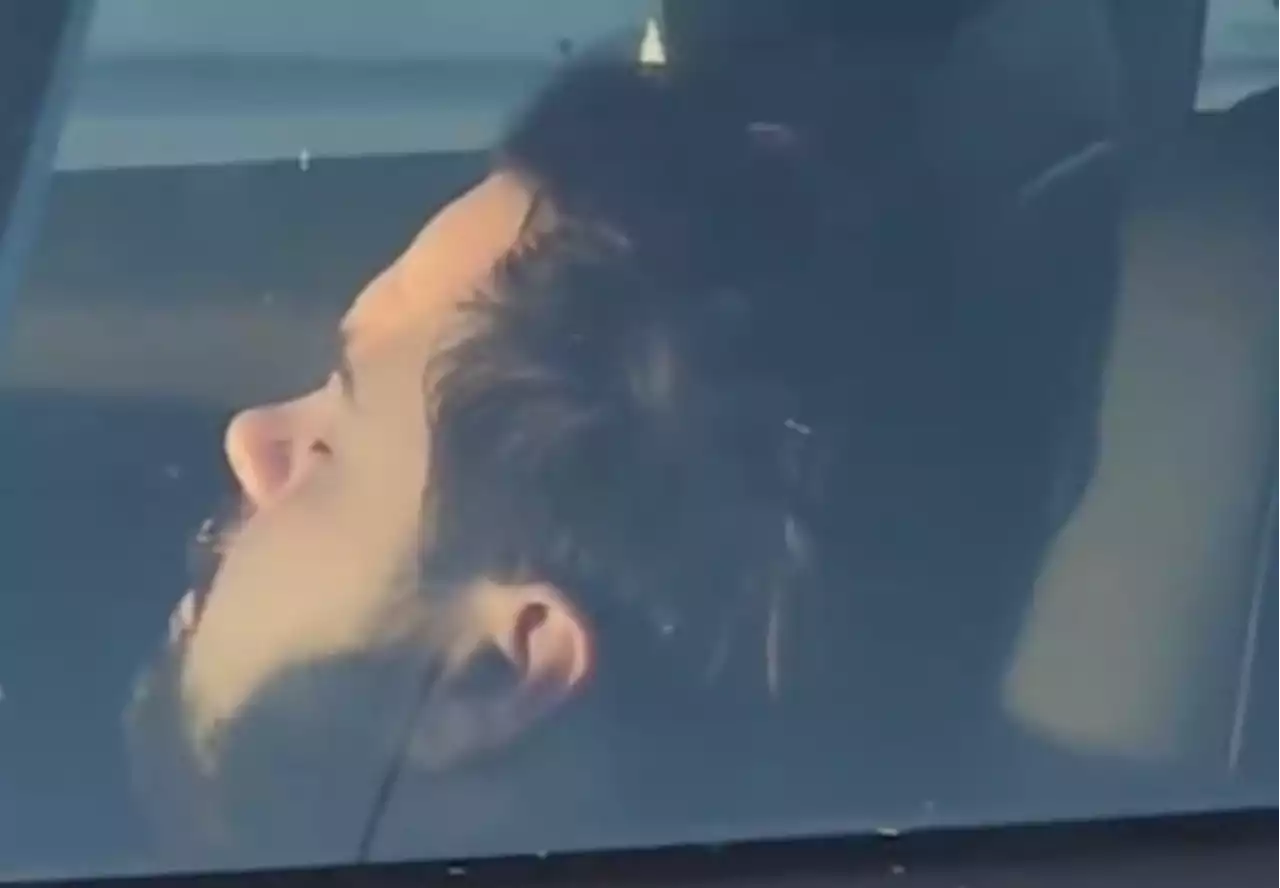 Video shows Ontario Tesla driver asleep at the wheel on QEW