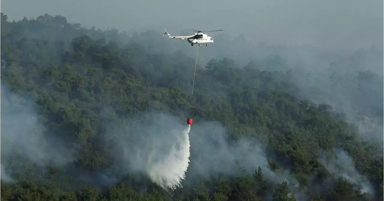 EU plans to build firefighting fleet faster after summer of climate crises