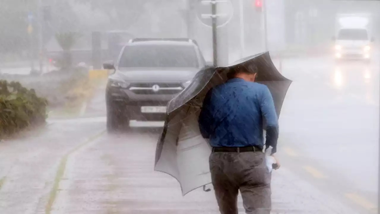 Thousands evacuate as Typhoon Hinnamnor hits S.Korea - SABC News - Breaking news, special reports, world, business, sport coverage of all South African current events. Africa's news leader.