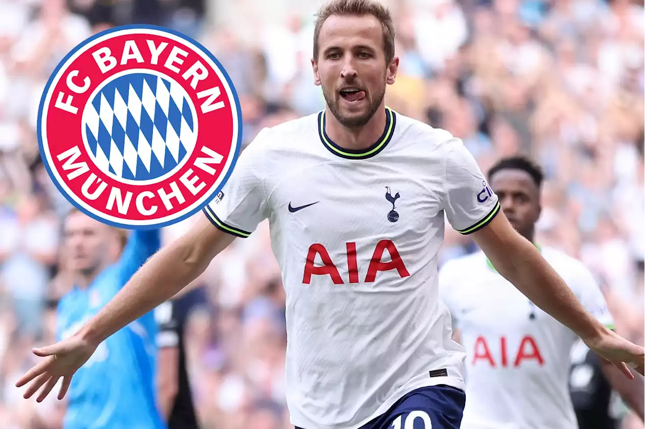 Bayern Munich chief plays down speculation over move for Tottenham star