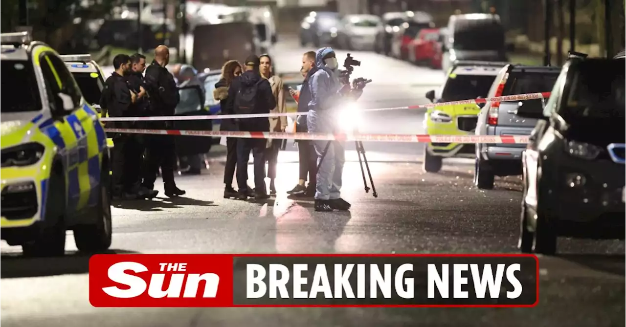 Man in his 20s dies after being shot by police following pursuit in London