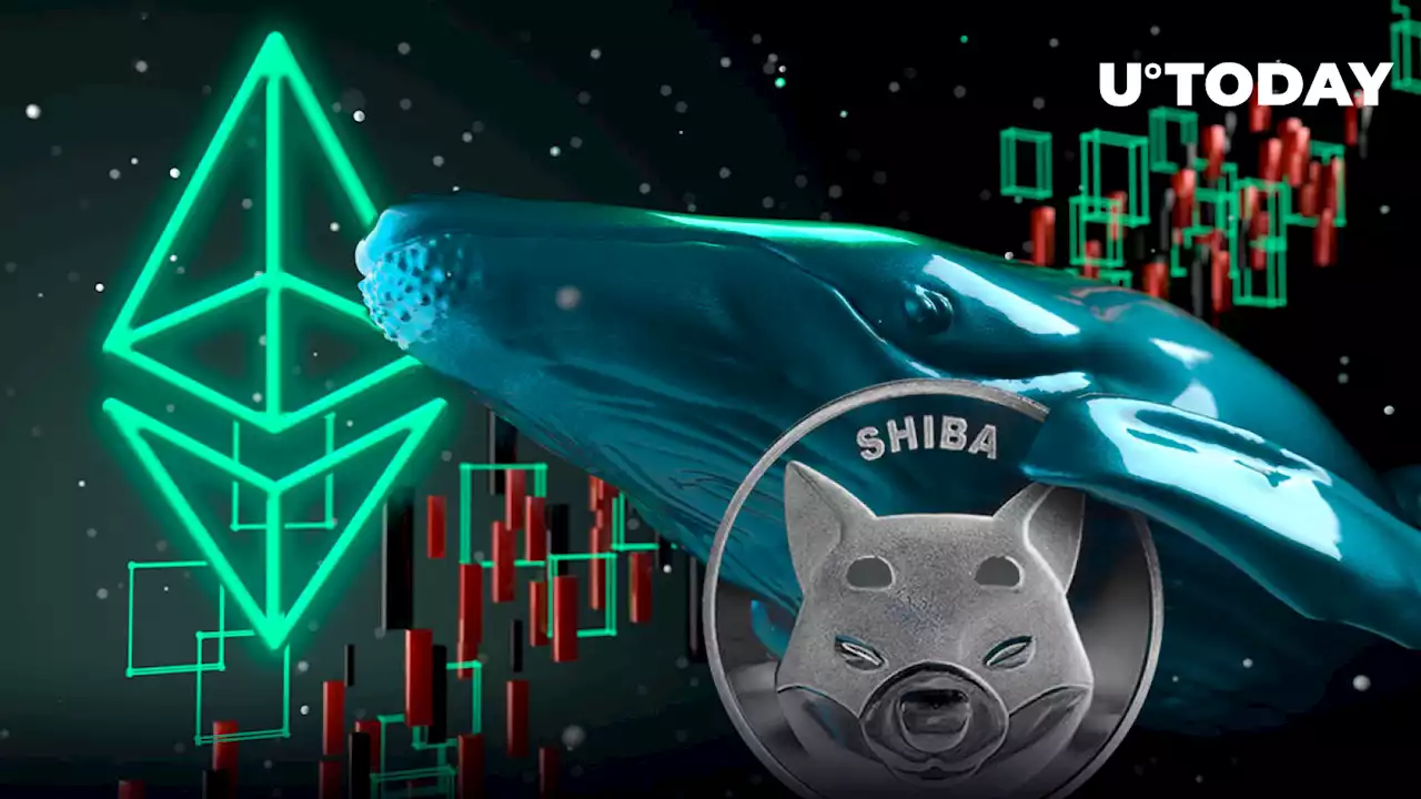 475 Billion SHIB Scooped up by Whales as ETH Merge Promises Positive Effects for SHIB