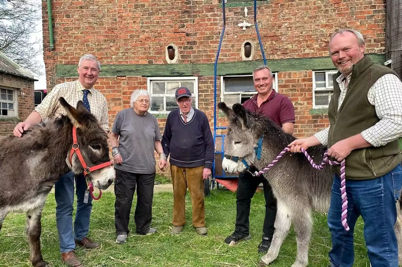 Yorkshire Vet treats pregnant ewe in first episode of the Channel 5 show