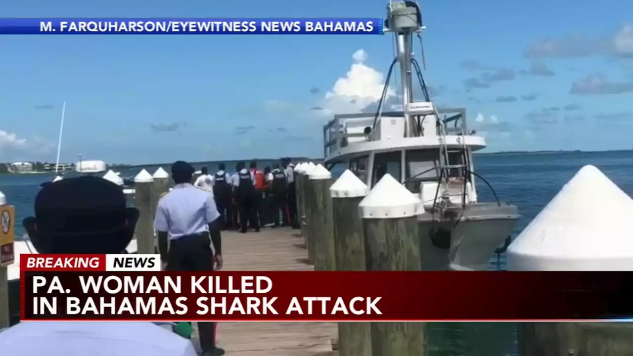 Woman killed in bull shark attack while snorkeling with family in Bahamas