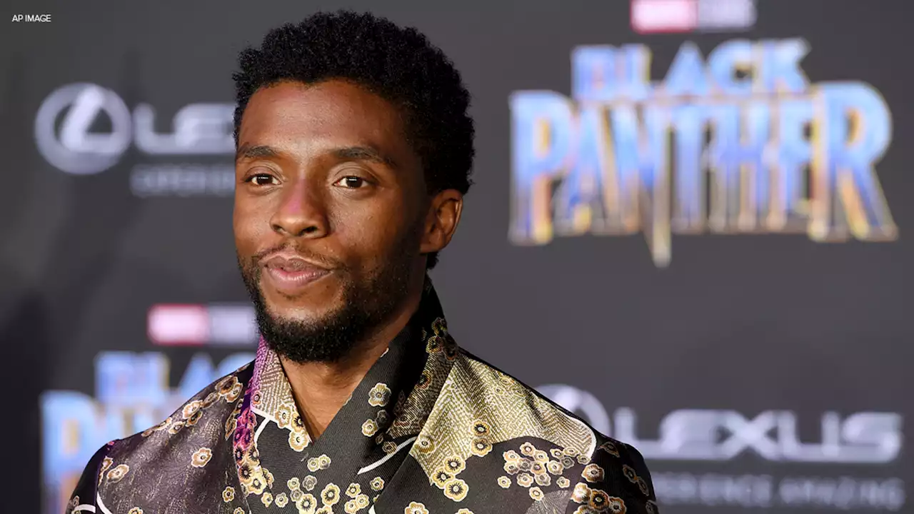 Chadwick Boseman wins posthumous Emmy for voiceover work on Marvel's 'What If...?'