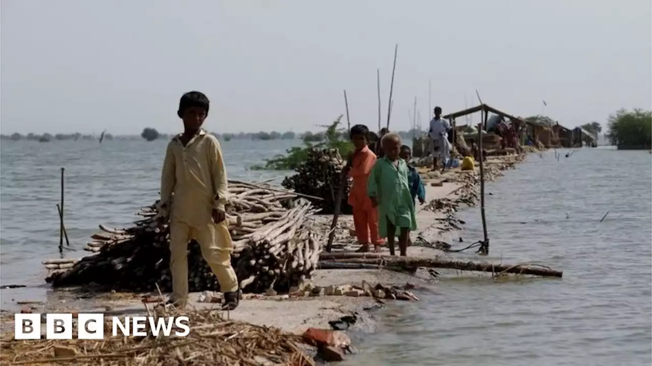 Pakistan floods: Biggest lake subsides amid race to help victims