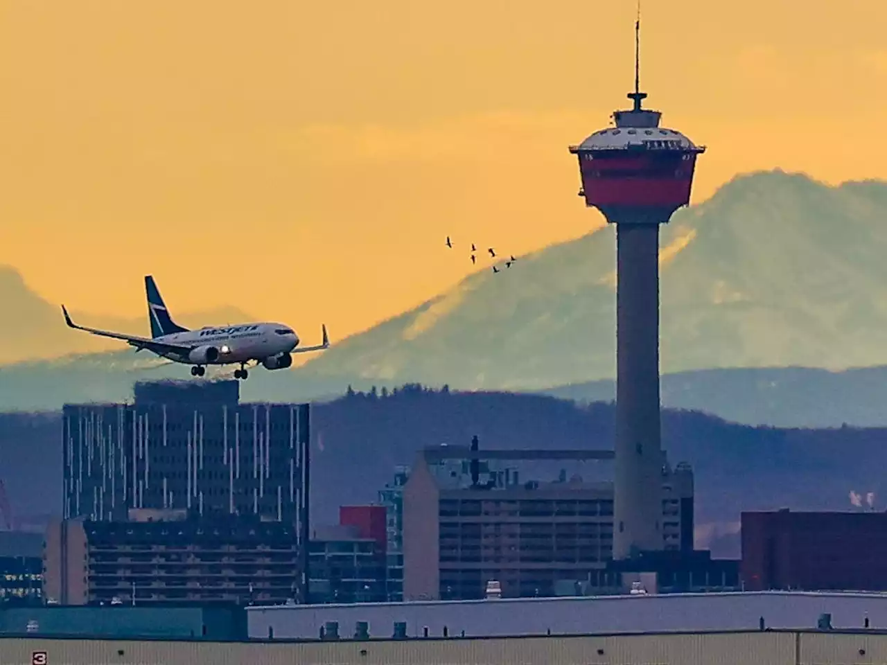 WestJet pilots' union serves notice to begin negotiations on new deal