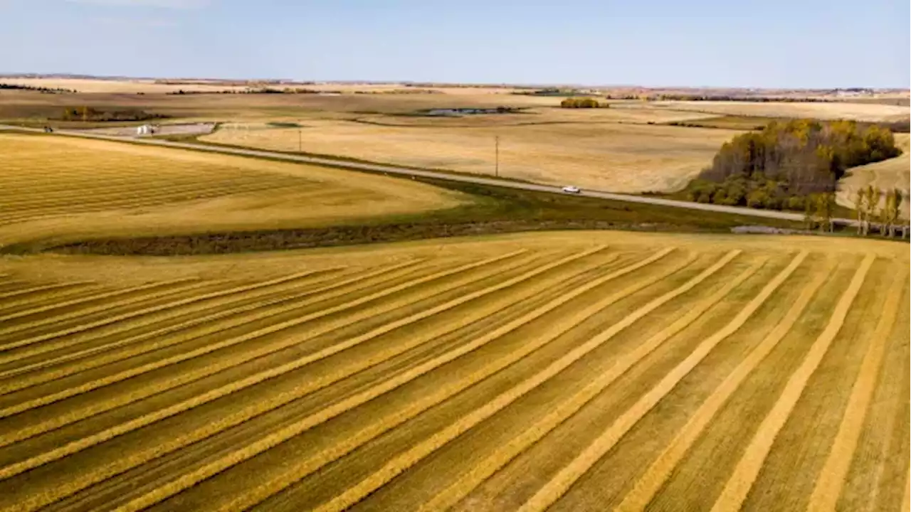 Government emissions targets for fertilizer use unrealistic, industry report argues | CBC News