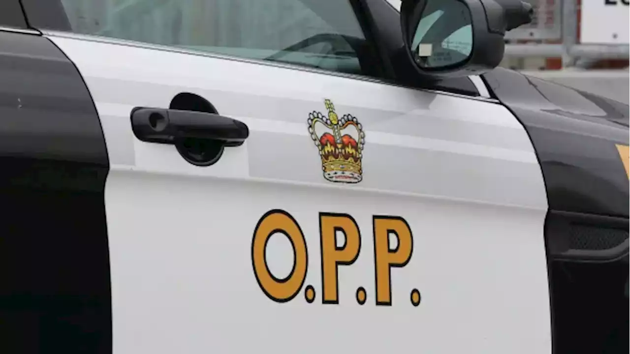 OPP investigating Hwy 401 road rage shooting incident | CBC News