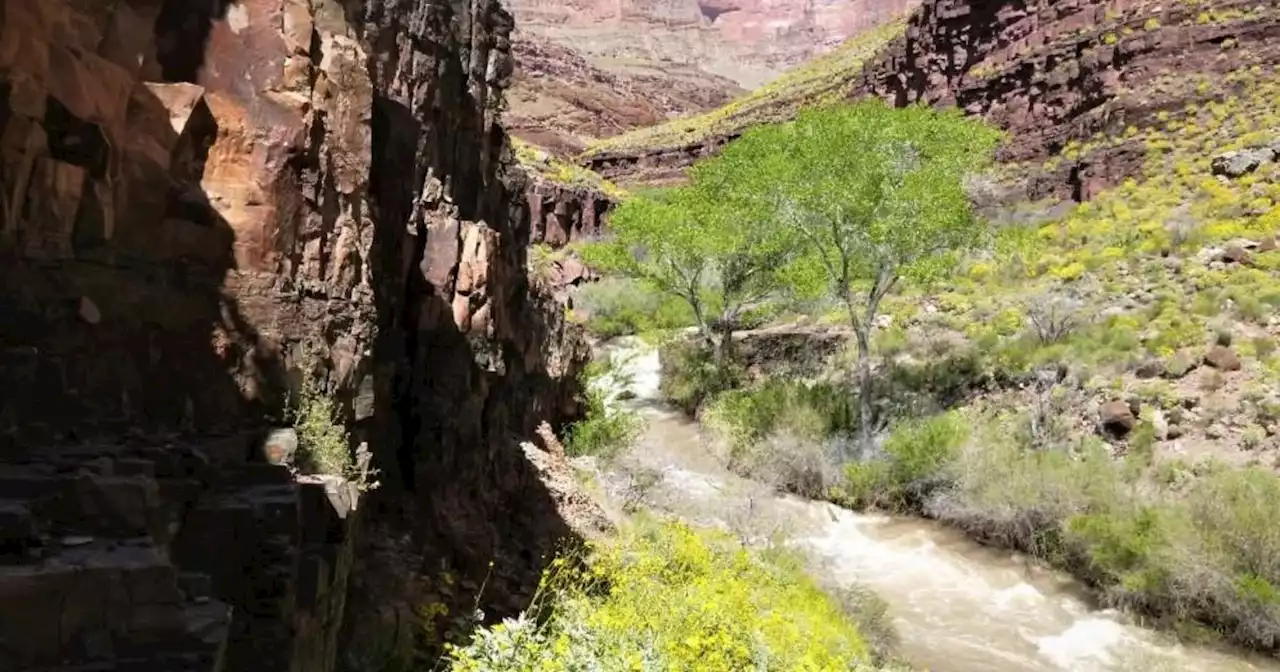 Woman backpacking in Grand Canyon National Park dies in triple-digit heat