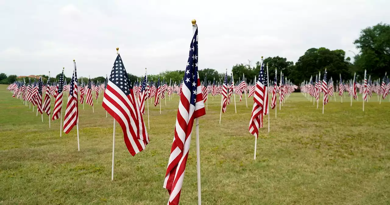 Field of Honor flags at Veterans Park in Arlington commemorate 9/11