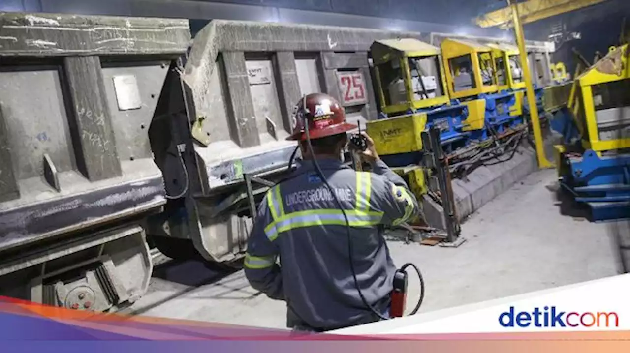 Lingkungan Kerjanya Berbahaya, Intip Gaji Karyawan Freeport