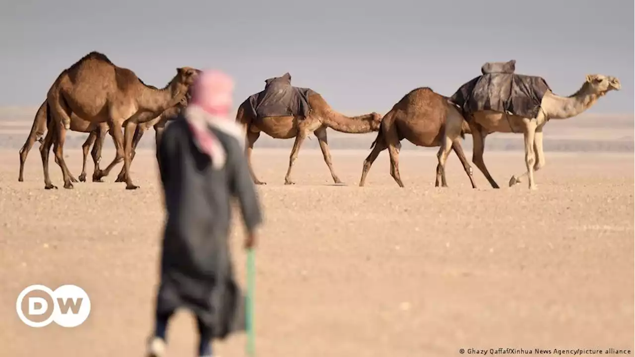 من الرياض إلى باريس.. رحلات على ظهر الإبل! | DW | 07.09.2022