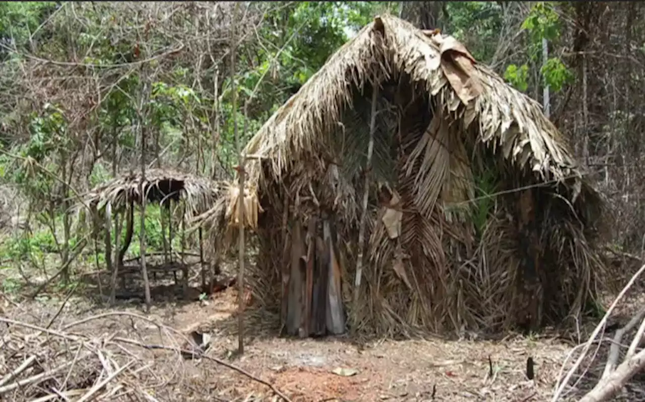 'Man of the hole' dies, last known survivor of Amazon tribe