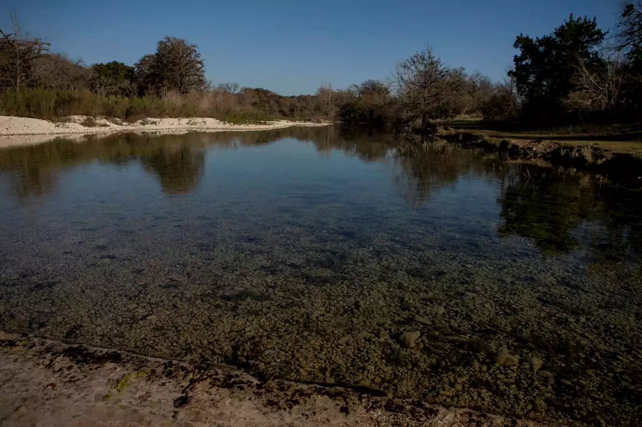 Editorial: Cruz, Cornyn should back the Recovering America’s Wildlife Act