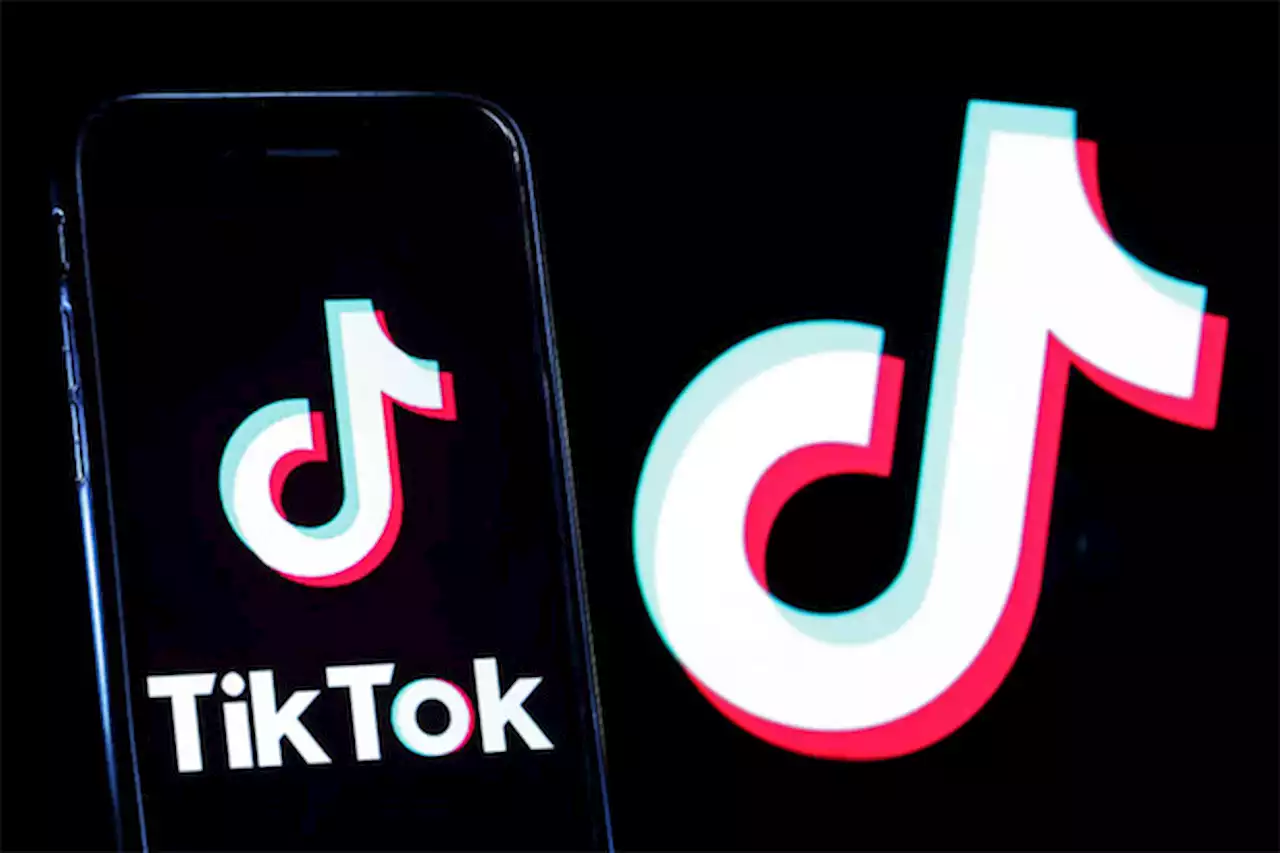 TikTokが20億件のデータ漏洩を否定、今ユーザーがすべきこと | Forbes JAPAN（フォーブス ジャパン）