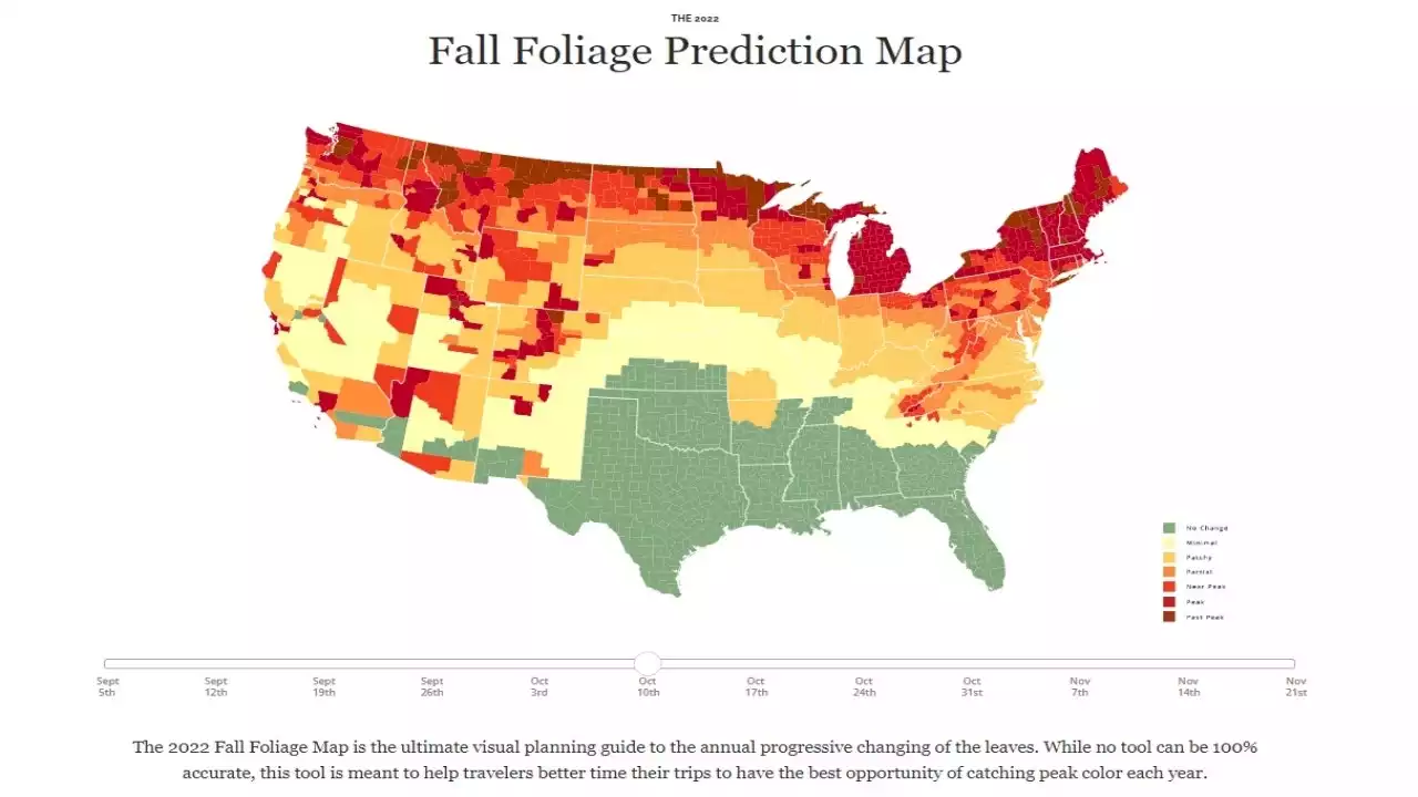 A guide for Chicago fall leaf peepers