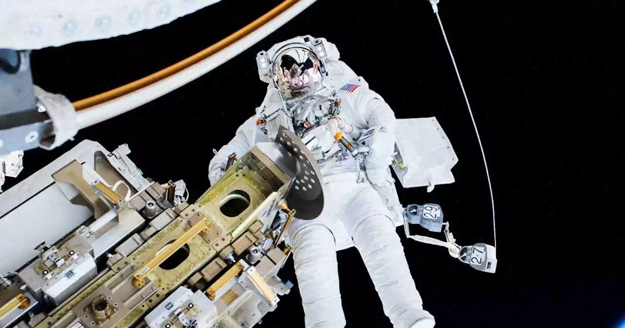 Scientists Found Genetic Mutations in Every Astronaut Blood Sample They Studied