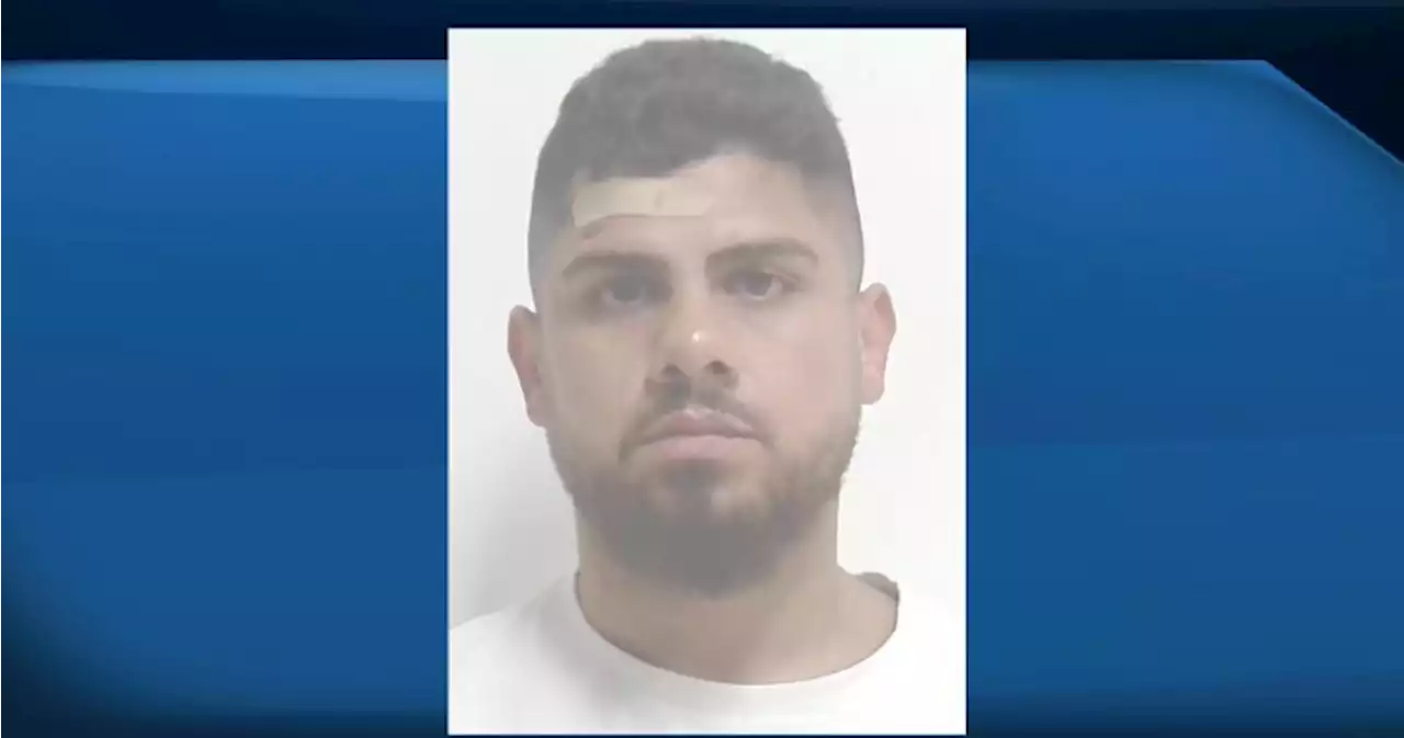 Calgary police looking for help finding man, vehicle occupants related to July shooting - Calgary | Globalnews.ca