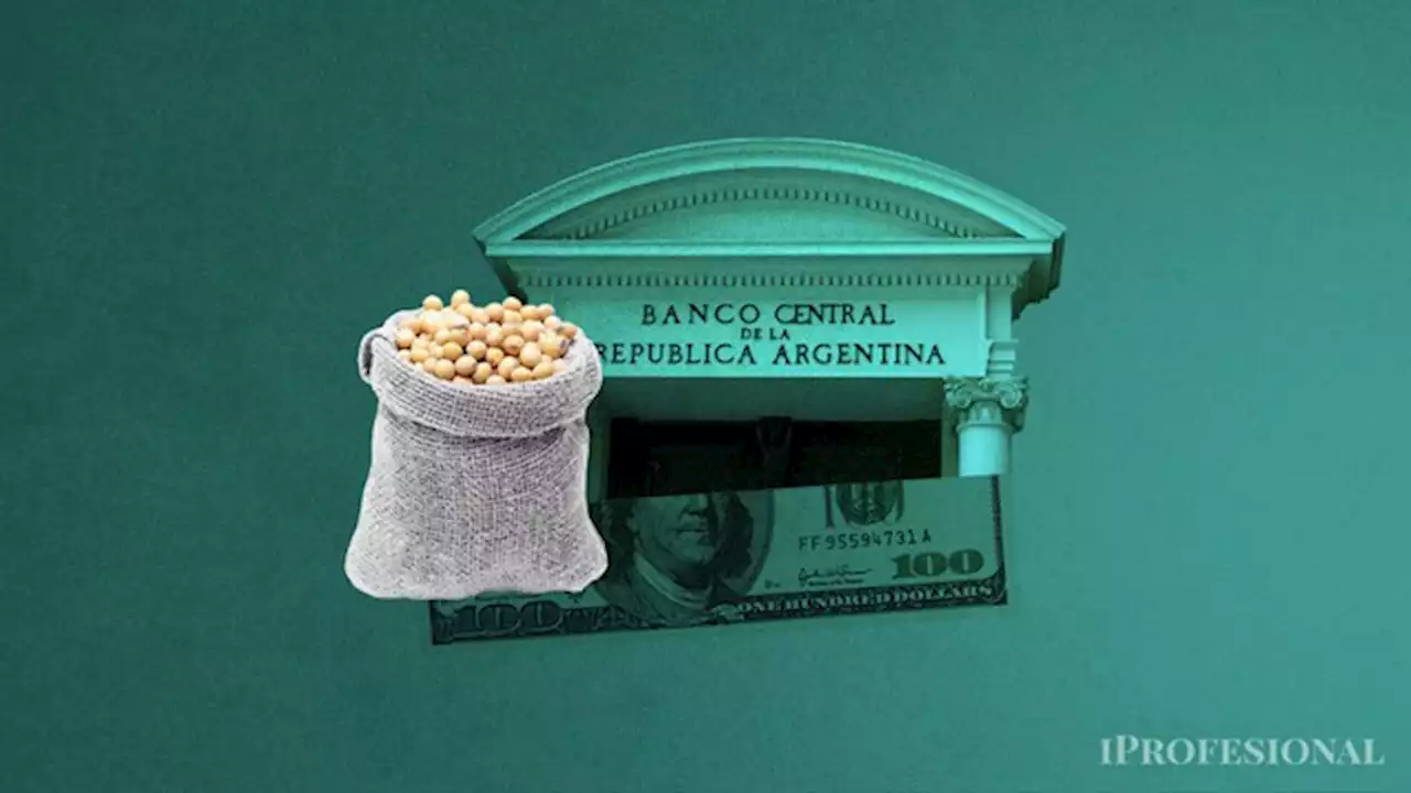 Dólar: Arrancó el dólar soja y el BCRA compró USD 140 millones