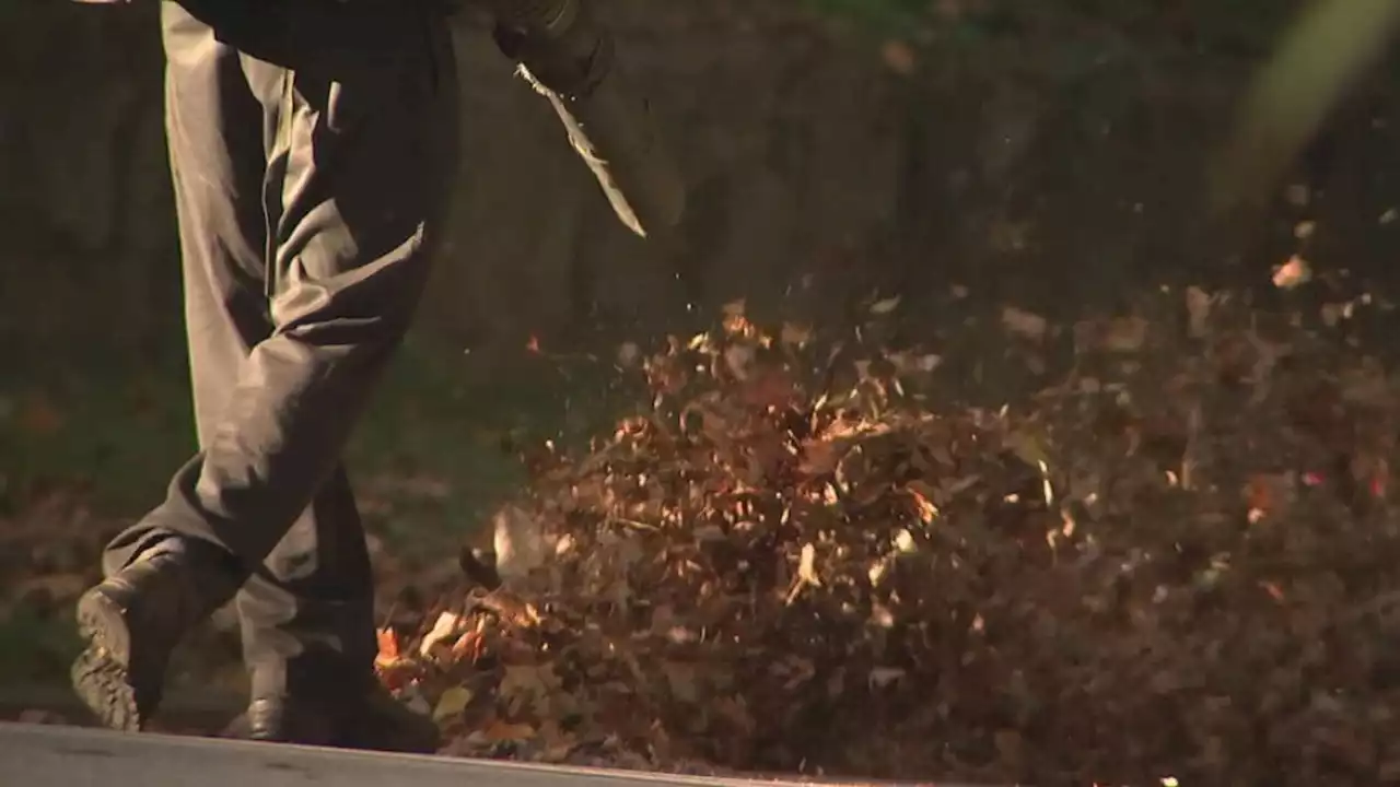 Seattle City Council approves ban on gas-powered leaf blowers