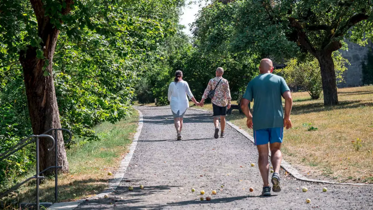 Here’s how many steps to walk each day to help ward off dementia