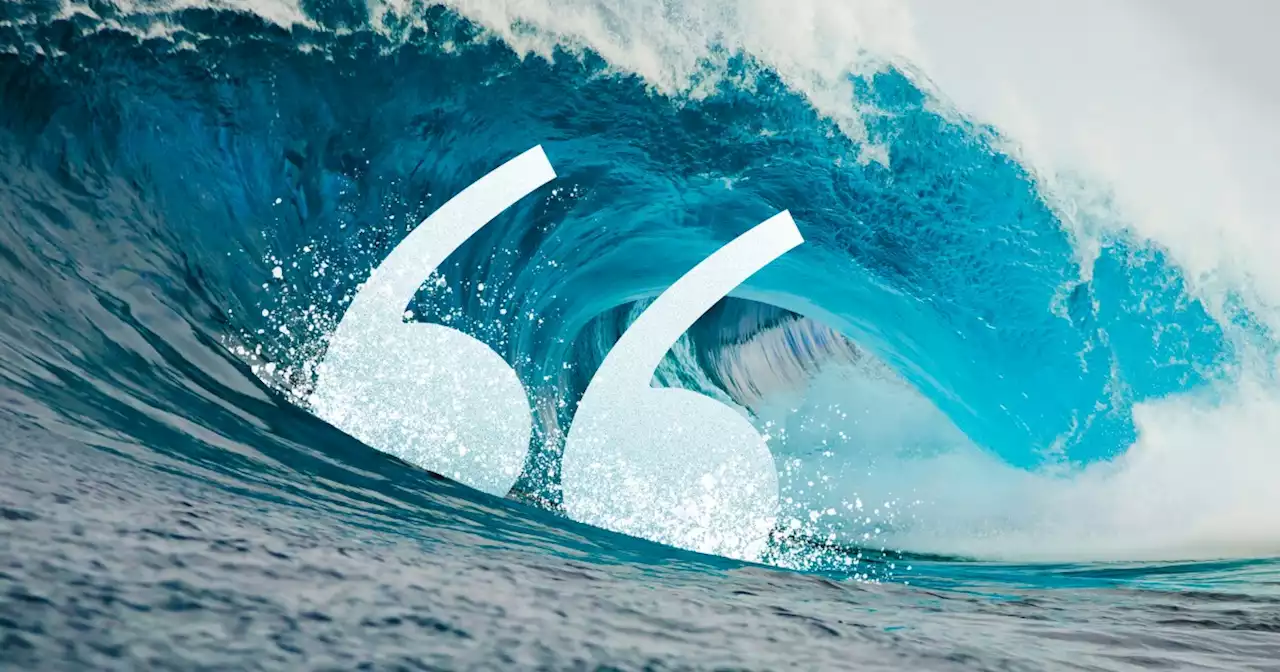 What surfers blurt out when they think no one's listening