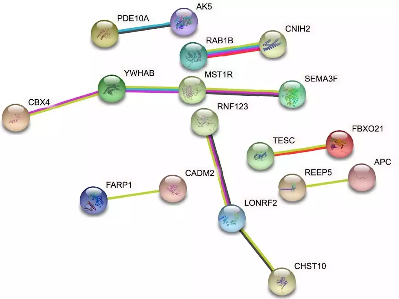 Genetic background associated with physically active lifestyle