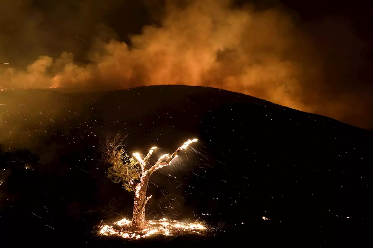 Southern California wildfires grow with little containment