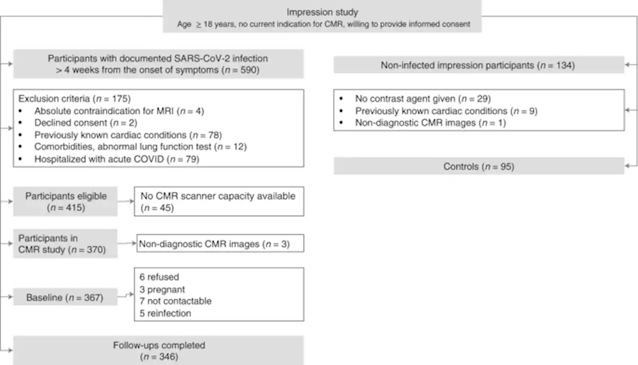 Long-term cardiac pathology in individuals with mild initial COVID-19 illness - Nature Medicine