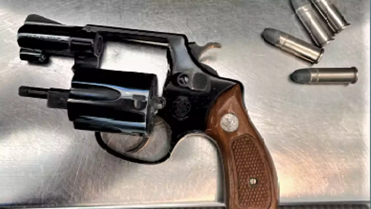 NJ Woman Found With Loaded Gun in Carry-on Lining at Newark Airport, TSA Says